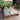ForeverLove - 220TC Pure Cotton Printed Bedsheet Set