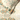 Celebrating India - 200TC Pure Cotton King Size Bedsheet (ETH10)