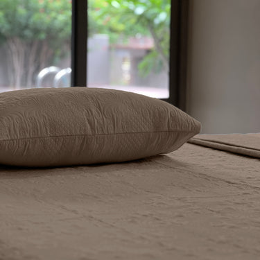 Sensation Quilted Bedcover cum AC comforter Set with 2 Pillow Covers.(Mocha)