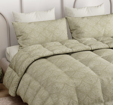 LABHAM Everyday 180TC 4Pc King Size Bedding Set - 100% Cotton, Super Soft with All Season Comfort (Paisley Motifs - Oyster)