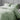 Sensation-300TC Pure Cotton BedCover (Pistachio)